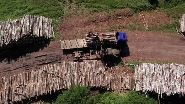 The Deforestation of Siberia Economic and Environmental Problems in Russian Forest Management