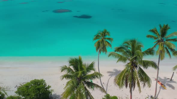 Port Orly sandy beach with palm trees, Espiritu Santo Island, Vanuatu