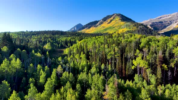 The rugged Rocky Mountains with fall colors starting to show in the aspens - sliding parallax aerial