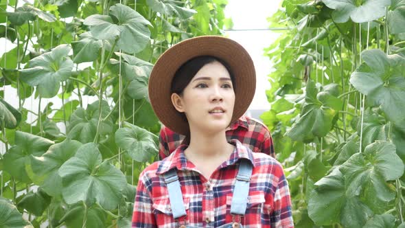 Young Asian Couple of Farmers Walking and Checking Their Farm Greenhouse