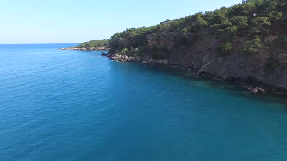 A Bright Untouched Turquoise Blue Sea at Edge of Forest