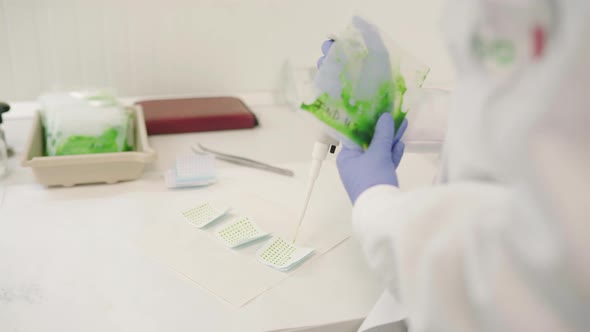 Woman Carefully Distributes Mixture In Analysis Sheets