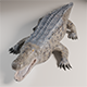 Crocodile 3d Model - 3DOcean Item for Sale