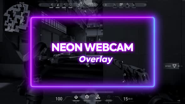 Neon Webcam  Overlay
