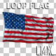 USA Loop Flag - VideoHive Item for Sale