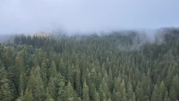 Fog in the Mountains. Aerial View of the Carpathian Mountains in Autumn. Ukraine