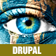Surreal - One Page Parallax Drupal Theme - ThemeForest Item for Sale