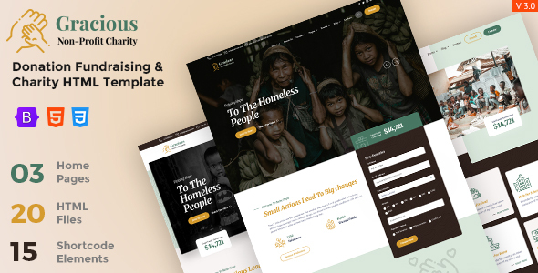 Gracious - Charity and Donation HTML Template