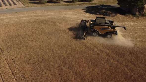 Wheat Harvesting with Harvester Tractor in Agriculture Farm Field