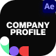 Company Profile - VideoHive Item for Sale
