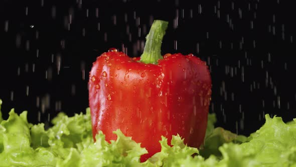 Red Bell Peppers and Green Lettuce Leaves and Rotate on a Black Studio Background Under Running