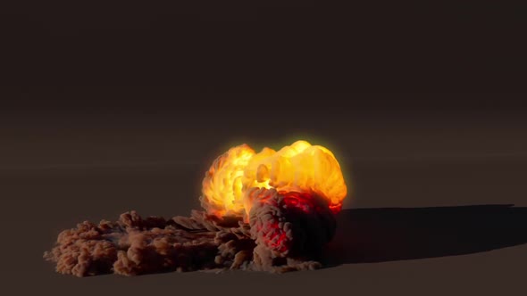 Slow Motion Explosion Fire Ball Realistic Flame