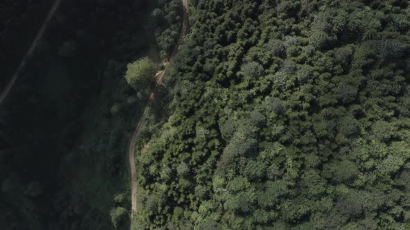 Trabzon City Forest Mountains And Roads Top View