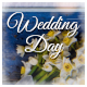 Weeding Day - VideoHive Item for Sale