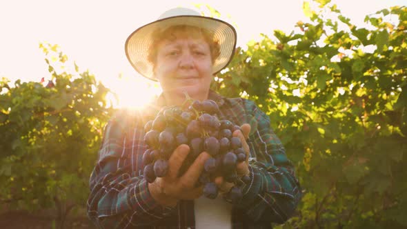 Female Farmer with Hat Shows a Large Red Grape Looking at Camera