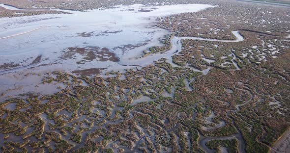 Bottom of a Pond Without Water and Abstract Curves of the Terrain