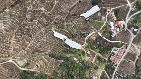 Farm Landscapes Background Texture