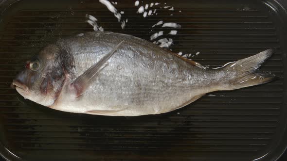 Frying Dorade Fish On A Pan