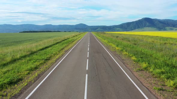 Op View of the Road and Blooming Yellow Field. On the Road Going Cars. Aero Shooting