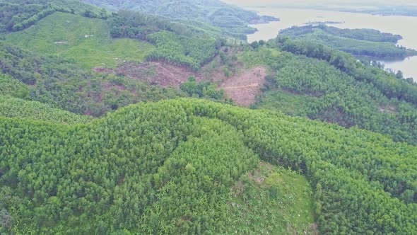 Flight Over Highland Covered with Jungle and Large Lake