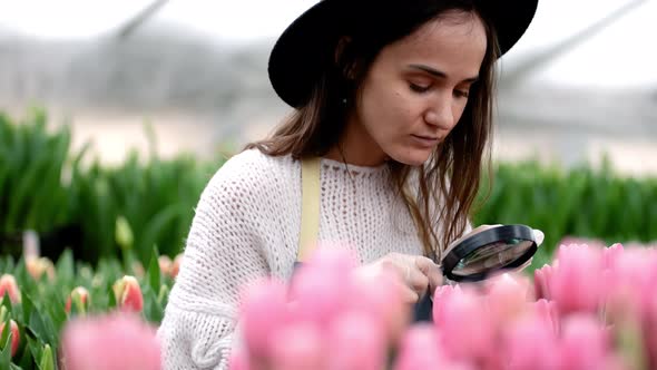 Woman in Gloves and Hat at Work in a Greenhouse with a Magnifying Glass Caring for Tulip Flowers