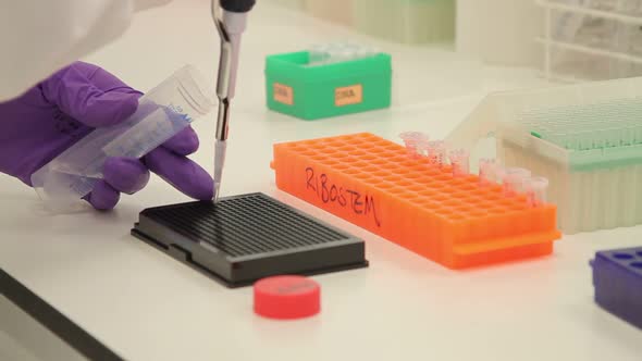 Scientist dropping liquid into vial in genetic laboratory