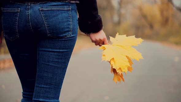 Holiday Weekend Trip With Orange Maple Fallen Leaf. Female Walking On Park. Bouquet Yellow Leaves.