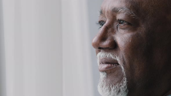 Close Up Pensive Male Old Wrinkled Face 60s African Bearded Man Deep in Sad Thoughts Looking at