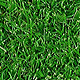 Realistic Tileable Grass - 3DOcean Item for Sale