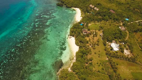 Tropical Beach and Turquoise Sea Philippines,Bohol