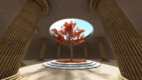 Tree Among Columns