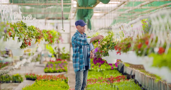 Confident Male Gardener Examining Potted Flower Plant