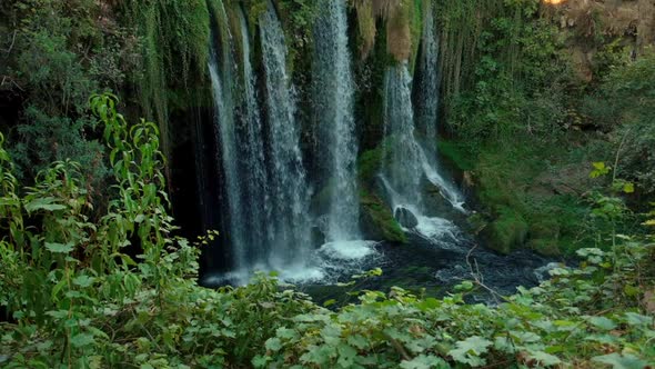 Waterfall in the Forest