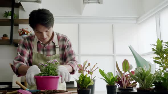 Asian man enjoys planting trees while relaxing at home.