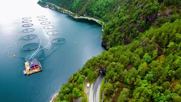 Farm Salmon Fishing in Norway