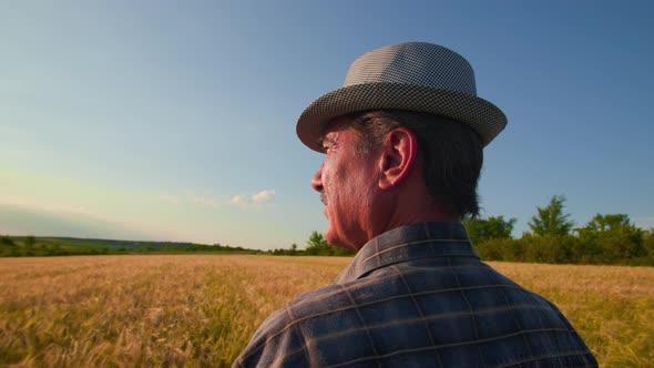 Rear View of a Human Head Senior Farmer Looks at and Examines the Agricultural Field