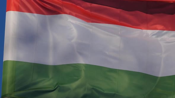 The national hungarian flag waving in the wind.