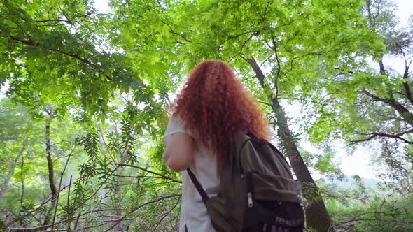 Woman Looking Up on Trees