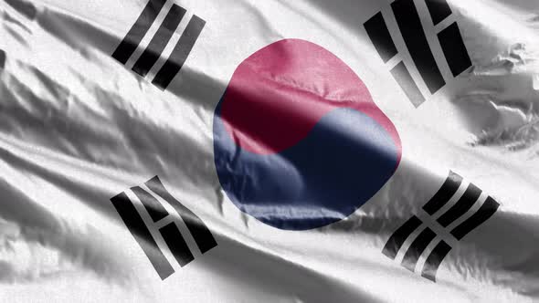 South Korea textile flag waving on the wind. 10 seconds loop.