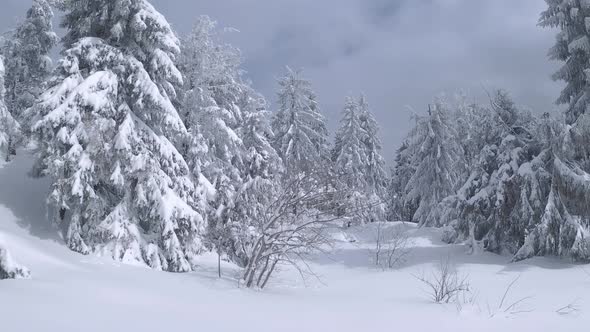 Aerial View of a Fabulous Winter Mountain Landscape Closeup