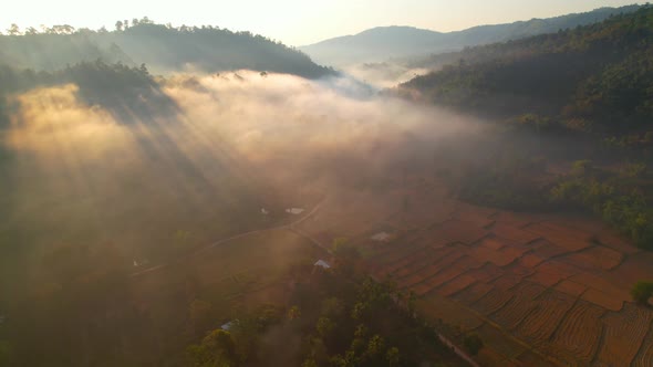 Aerial view of farmers farmland in dry season. beautiful scenery in the morning