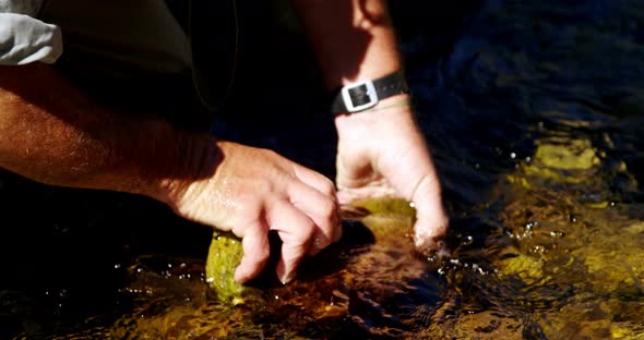 Fly fisherman removing rock from shallow river water