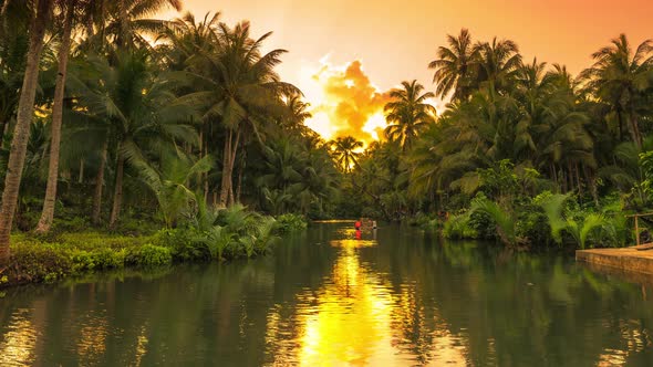 River at the Palm Trees Tropical Jungle at the Sunset Time