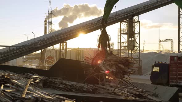 A Track Material Handler is Loading Logs Onto a Conveyor at the Factory