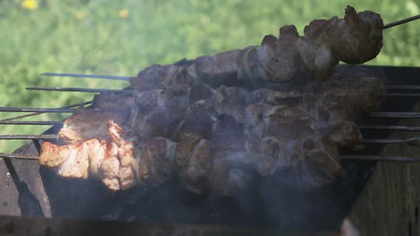 Cooking Shish Kebab Outdoor