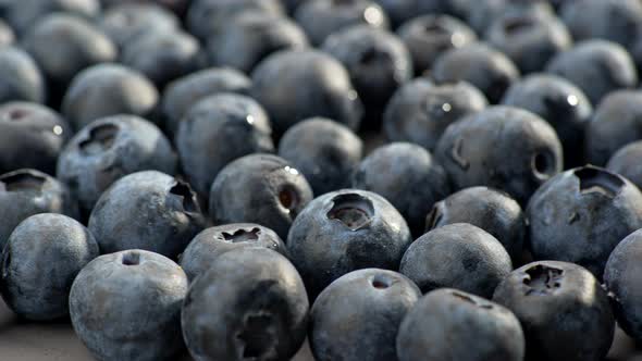 Partly Blurred Berries Background, Camera Rotating To Show Many Blueberries, Medically Proved That