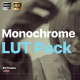 Monochrome LUTs - Retro Monotone - VideoHive Item for Sale