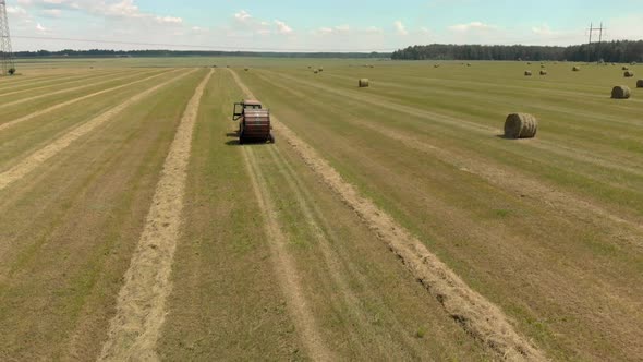 The Farmer Stores Up Feed for Livestock. Tractor Picks Up the Mown Dry Hay with a Roll Wrapper