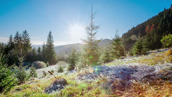 Beautiful Dry Grass Covered with Snow in the Hoarfrost Fluttering in a Light Breeze Against a Blue