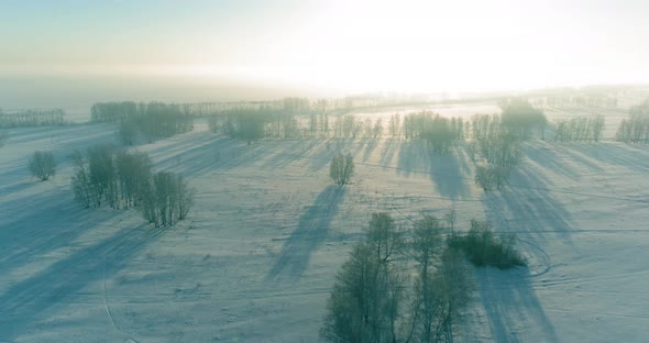 Aerial Drone View of Cold Winter Landscape with Arctic Field Trees Covered with Frost Snow